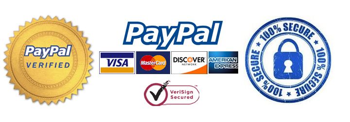 Image result for paypal secure image