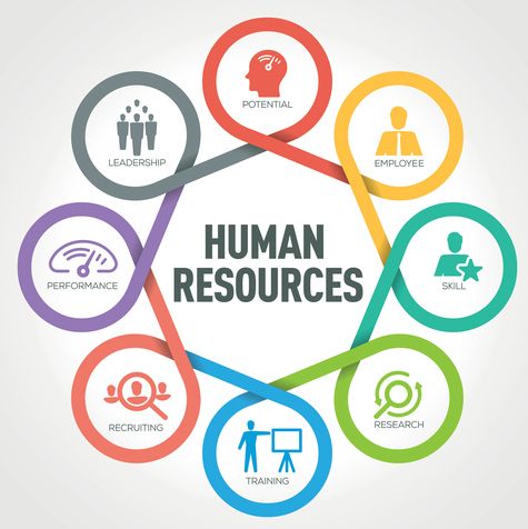 English Vocabulary needed for Human Resources