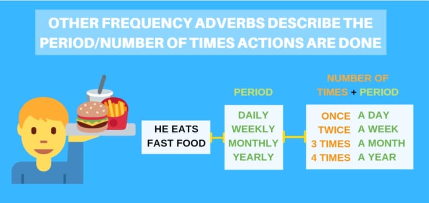 Other frequency adverbs describe the period / number of times actions are done